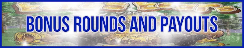 Bonus Rounds and Payouts banner