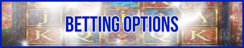 Betting Options banner