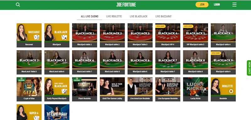 Joe Fortune  Casino Live screenshot