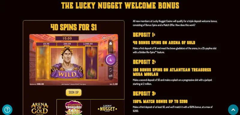 Lucky Niki casino Welcome Bonus screenshot