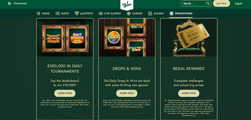 Lucky Niki casino Ongoing Offers screenshot