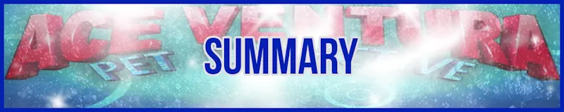 Summary banner