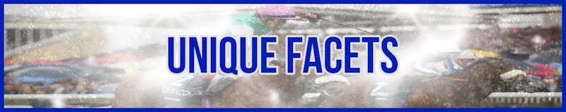 Unique Facets banner