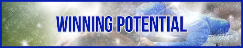 Winning Potential banner