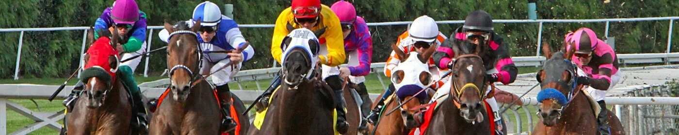 Horse Racing Banner