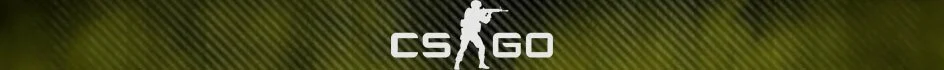 CSGO Hub Banner