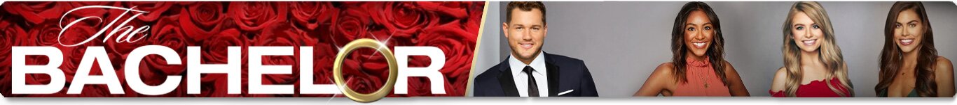 The Bachelor Season 23 Contestants and The Bachelor Logo