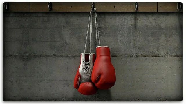 Hanging Boxing Gloves