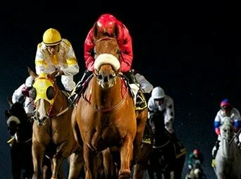 Horse Racing