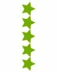 5 Stars