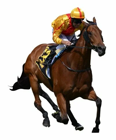 Horse Racing