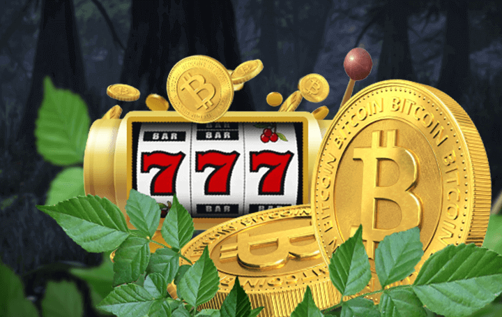 Bitcoin Bonus Wild Casino